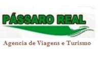Logo Pássaro Real Agencia de Viagens e Turismo em Centro