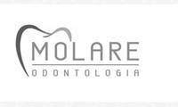 Logo Molare Odontologia em Vila Olímpia