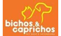 Logo Bichos & Caprichos em Acupe de Brotas