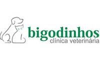 Logo Bigodinhos Clínica Veterinária em Vila Clementino