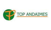 Logo Top Andaimes em Goiânia