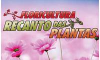 Logo Floricultura Recanto das Plantas em Setor Comercial