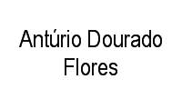 Logo Antúrio Dourado Flores em Flamengo