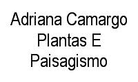 Logo Adriana Camargo Plantas E Paisagismo em Parque Anhanguera