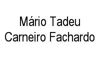 Logo Mário Tadeu Carneiro Fachardo em Centro