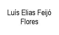 Logo Luís Elias Feijó Flores em Krahe