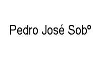 Logo Pedro José Sobº em Vila São Jorge da Lagoa