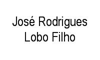 Logo José Rodrigues Lobo Filho em Dom Pedro I