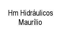 Logo Hm Hidráulicos Maurílio em Pinheirinho