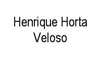 Logo Henrique Horta Veloso em Tijuca