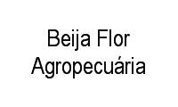 Logo de Beija Flor Agropecuária em Retiro