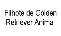 Logo Filhote de Golden Retriever Animal em Nazaré