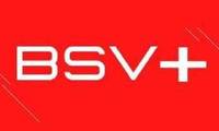 Logo BSV Beserag serviços e vetores em Campo Grande