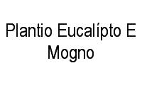 Logo Plantio Eucalípto E Mogno