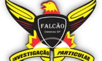 Logo Detetive Falcão Assessoria Investigativa em Vila Mariana