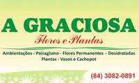Logo A Graciosa Flores E Plantas em Petrópolis