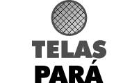 Logo Telas Pará