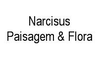 Logo Narcisus Paisagem & Flora em Agronômica