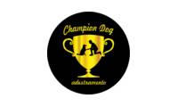 Logo Champion Dog Adestramento