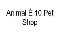 Logo Animal É 10 Pet Shop em Ouro Preto