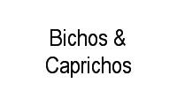 Logo Bichos & Caprichos em Alto da Boa Vista