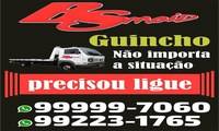 Logo BS Guincho - Reboque e Guincho