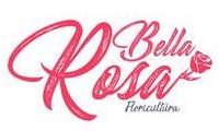 Logo Floricultura Bella Rosa em Centro