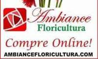 Logo Ambiance Floricultura em Flores