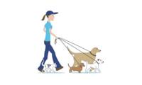 Logo Pet Dream Rj- Passeador de Cães- Babá de Animais em Tauá