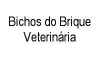 Logo Bichos do Brique Veterinária em Farroupilha