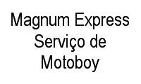 Logo Magnum Express Serviço de Motoboy em Santo André