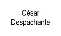 Logo César Despachante em Embratel