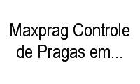 Logo Maxprag Controle de Pragas em São Bernardo do Campo em Centro
