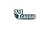 Logo Ycassio - Papel de Parede- Insufilm Residêncial - Higienização de Estofados em Morada da Serra