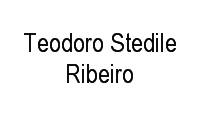 Logo Teodoro Stedile Ribeiro em Centro