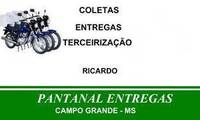 Logo Pantanal Moto Entregas