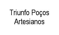 Logo Triunfo Poços Artesianos em Bandeirantes