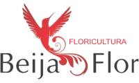 Logo Floricultura Beija Flor em Taguatinga Norte (Taguatinga)