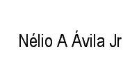 Logo Nélio A Ávila Jr
