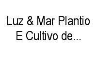 Logo Luz & Mar Plantio E Cultivo de Pimentas. em Independência