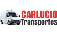 Logo de Carlúcio Transportes em Universitário