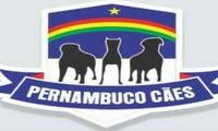 Logo Pernambuco Cães em Várzea