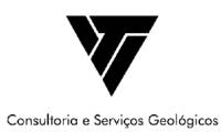 Logo Vt - Consultoria em Geologia E Serviços Ambientais