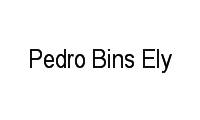Logo Pedro Bins Ely em Auxiliadora
