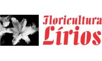 Logo Floricultura Lírios Flores em Calhau