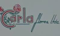 Logo CARLA FLORES em Vila Renata
