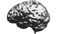 Logo Clínica Neurológica Dr. Aloisio Ponti Lopes