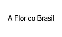 Logo A Flor do Brasil em São Cristóvão