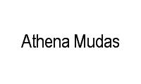 Logo Athena Mudas