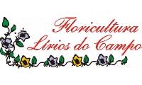 Logo COROAS DE FLORES PARA VELÓRIOS 24HS - PORTO VELHO RO